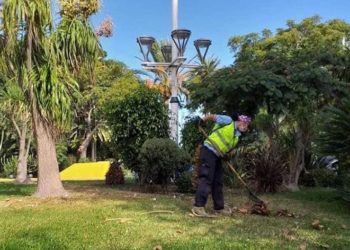 medio-ambiente-plan-empleo-murallas-reales-4