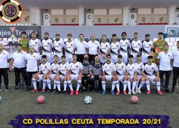 polillas-1