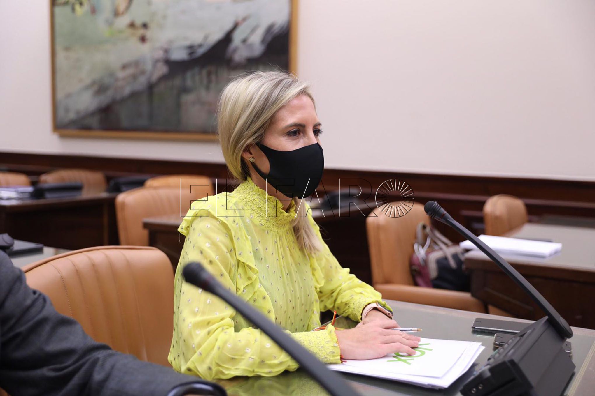 teresa-lopez-vox-comision-infancia