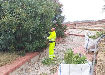 tragsa-san-antonio-4