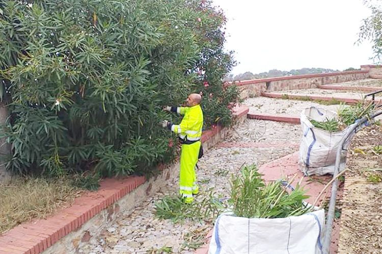 tragsa-san-antonio-4