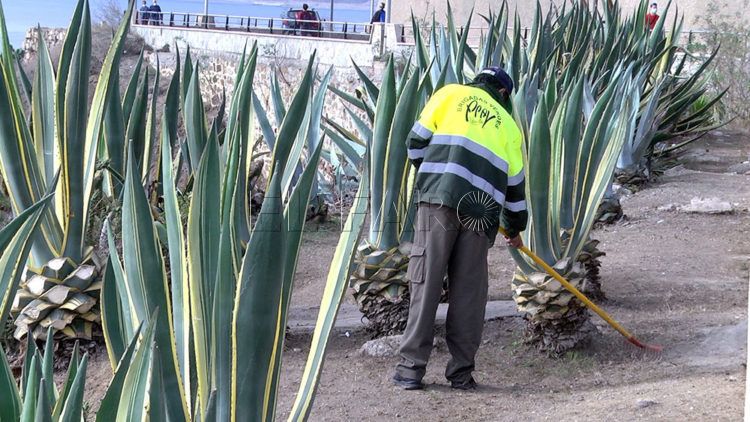 brigadas-verdes-recinto-11