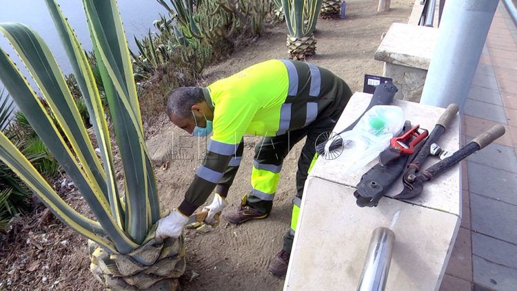 brigadas-verdes-recinto-12