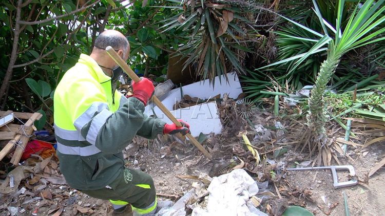 brigadas-verdes-recinto-2