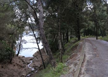 caminos-senderos-pantano