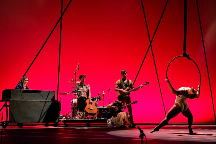 espectaculo-yolo-circo