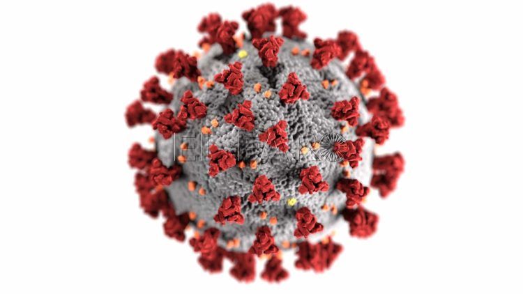 novel-coronavirus-ru