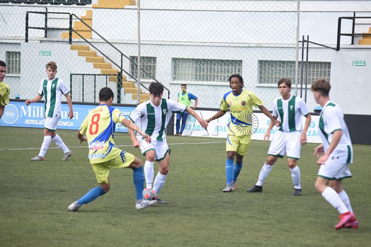 polillas-cordoba-murube-14