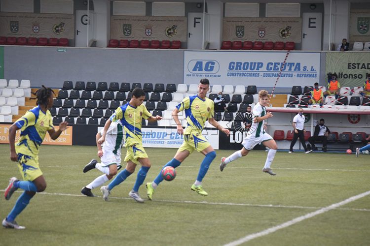 polillas-cordoba-murube-5