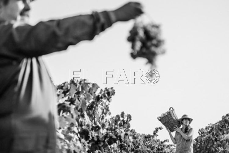 primer-premio-valentina-ccoo