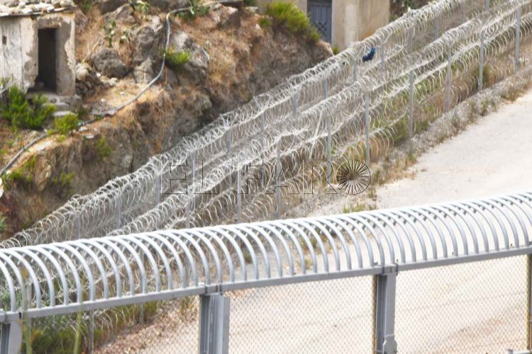 concertina-peines-invertidos