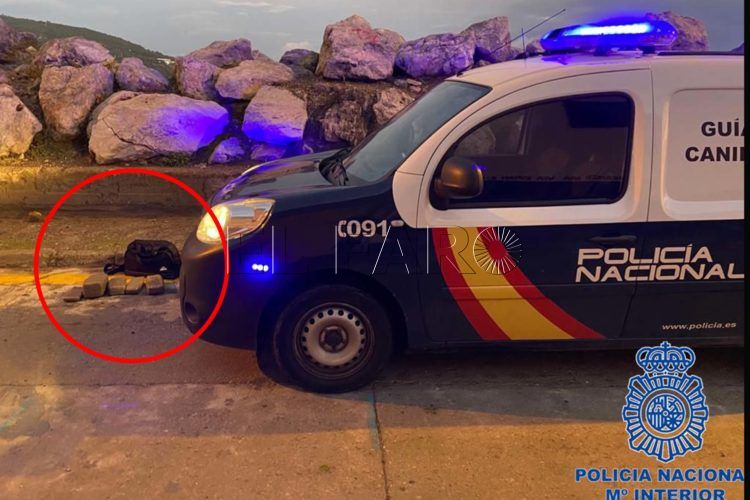 guias-caninos-hachis