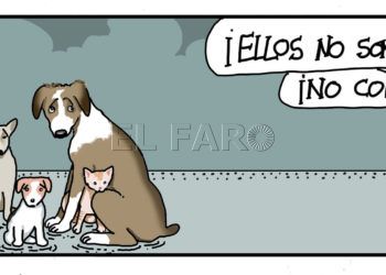 miercoles-30-diciembre-2020