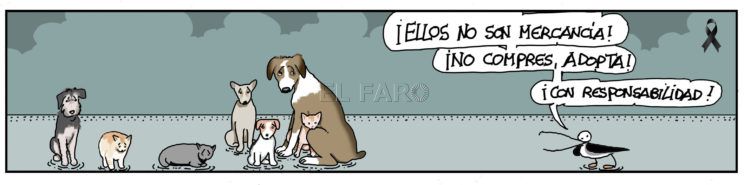 miercoles-30-diciembre-2020