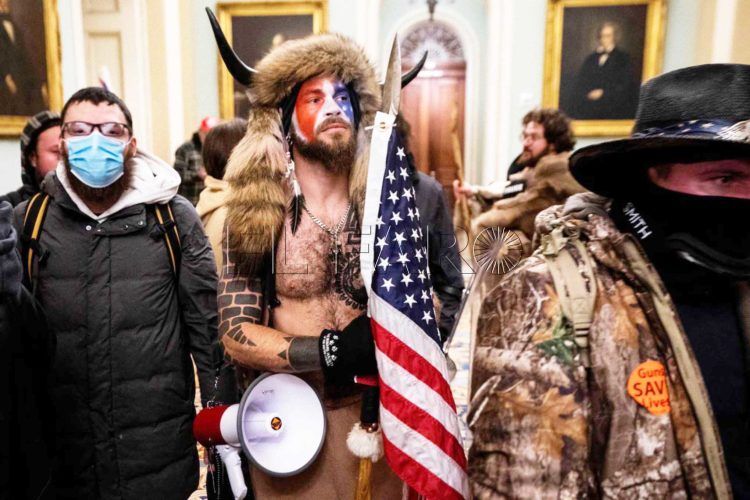 asalto-capitolio-bisonte