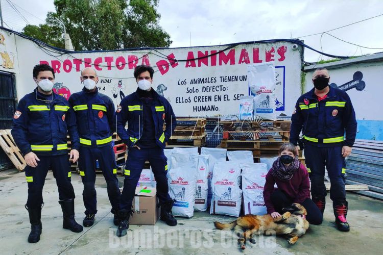 bomberos-ceuta-protectora-animales