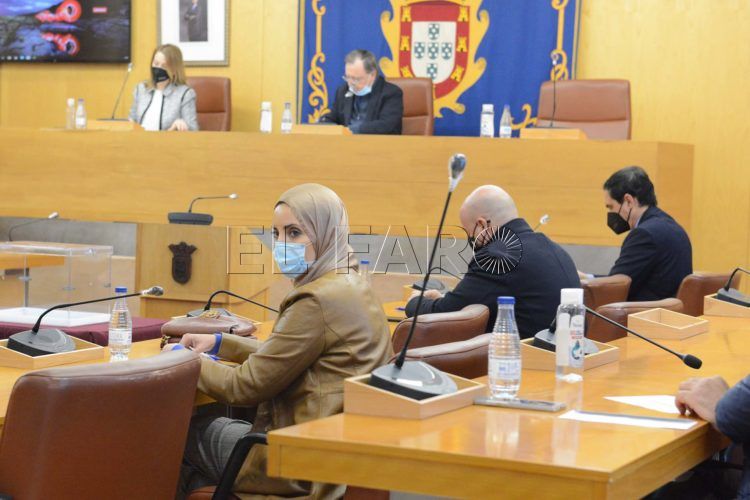 fatima-hamed-pleno-vicepresidencias