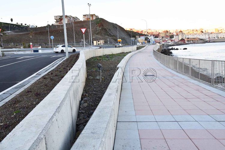 plantas-muertas-carretera-frontera-1