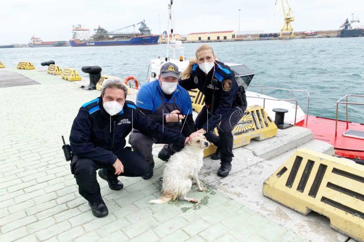 policia-portuaria-practicos-salvan-perra