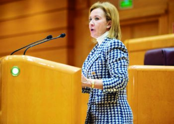 yolanda-merelo-vox-senado