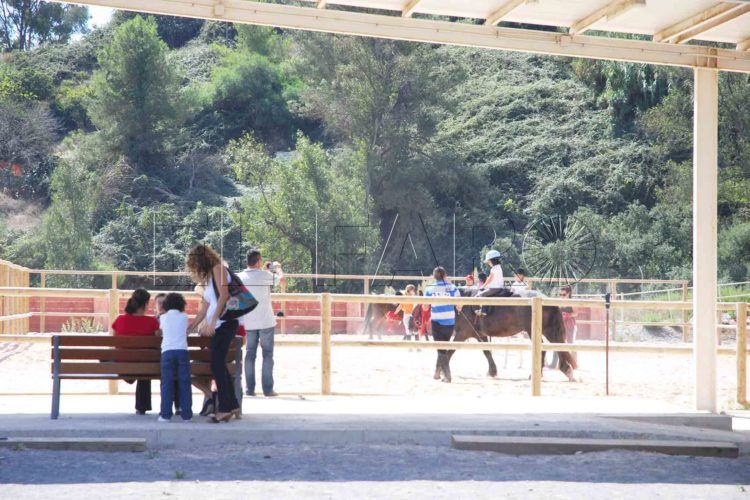 centro-ecuestre-hipica