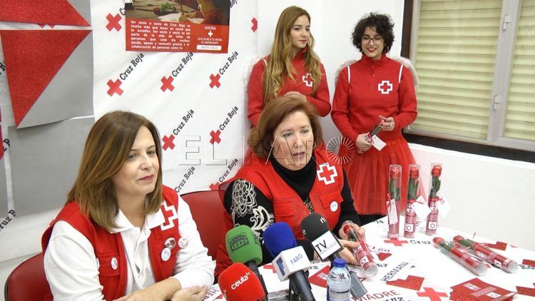 cruz-roja-alicia-cordente