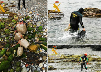 geas-hachis-almadraba