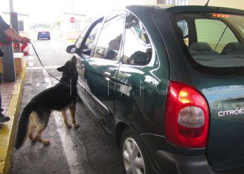 policia-droga