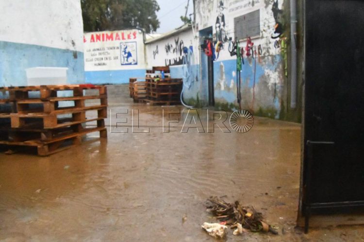 protectora-inundada-marzo-lluvias-1