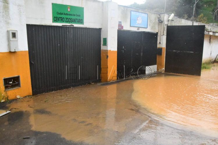 protectora-inundada-marzo-lluvias-7