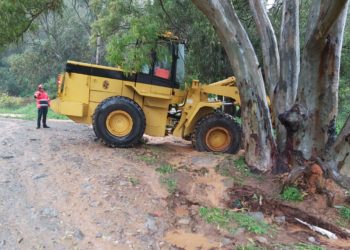 retroexcavadora-medio-ambiente-protectora-animales-2