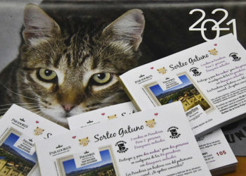 sorteo-sociedad-gatuna