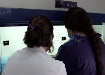 becas