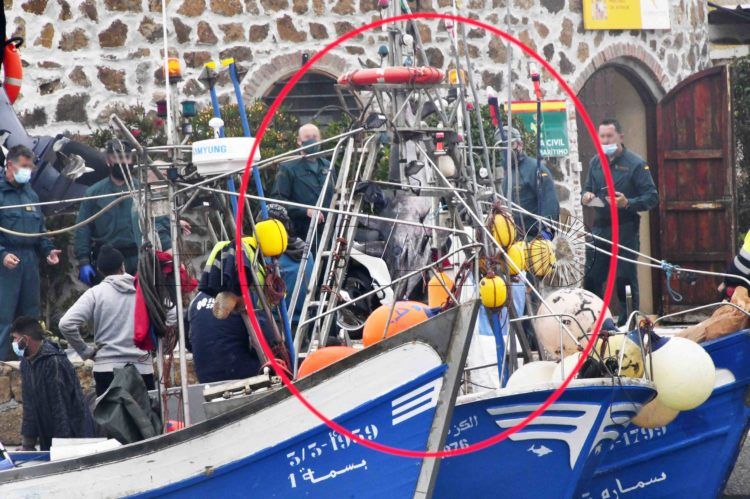 guardia-civil-pez-espada-2