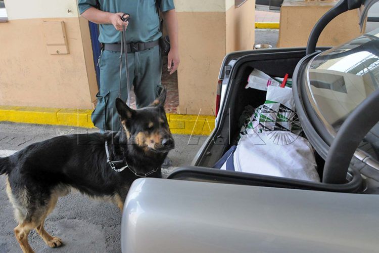 guardia-civil-puerto
