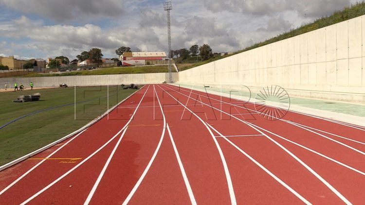 pista-atletismo-colocacion-cesped-obras-20