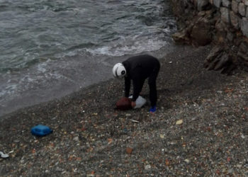 tortuga-boba-playa-santa-catalina-2