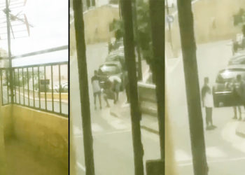 apdha-disparos-perdigones