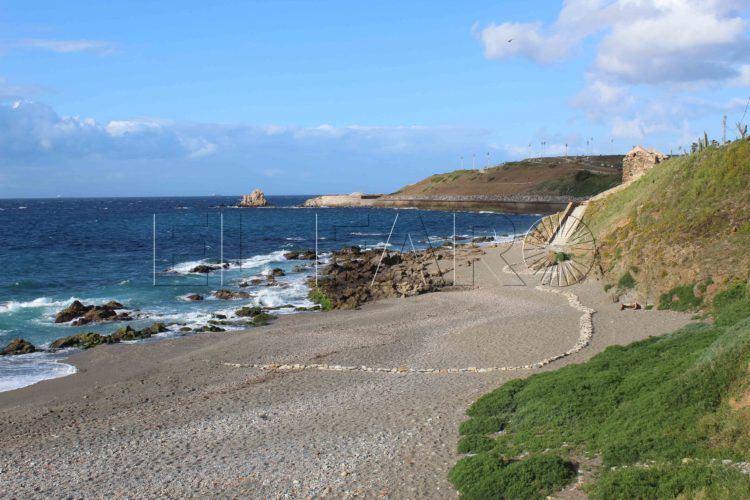 playa-corrales-destinada-perros