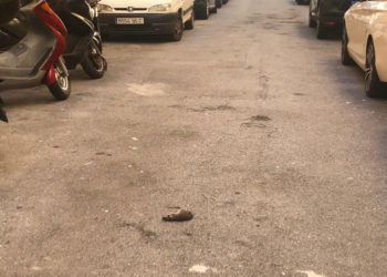 ratamuerta-padroscuzco