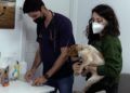 vacunacion-rabia-mascotas-animales-16