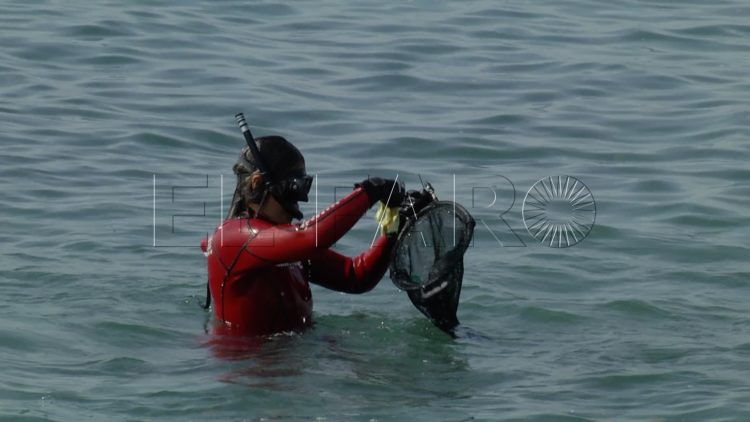 cruz-roja-basuraleza-33