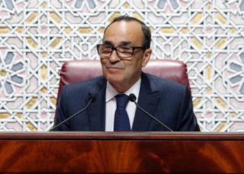 el-malki-camara-representantes-marruecos