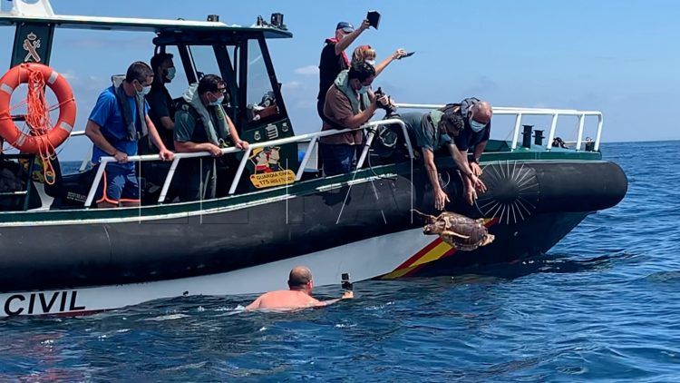 en-la-piel-cecam-suelta-tortugas-28