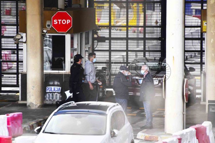 retorno-marroqui-adulto