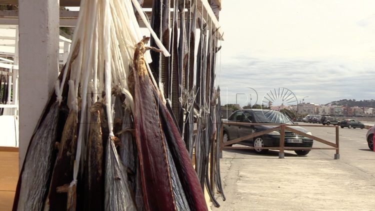 salazones-volaores-tradicion-perdura-tiempo-43