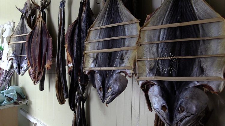 salazones-volaores-tradicion-perdura-tiempo-52