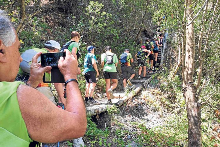 senderismo-manada-sierra-malaga-4