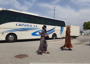 Temporeras de la fresa regresan a Marruecos