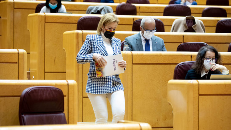 yolanda-merelo-vox-senado